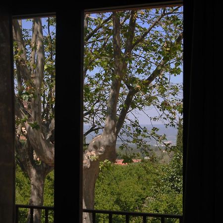 Hostal Braseria Tivissa Buitenkant foto